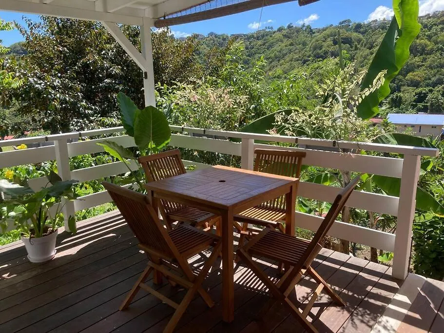 Studio Nature A La Montagne Le Vauclin Martinique