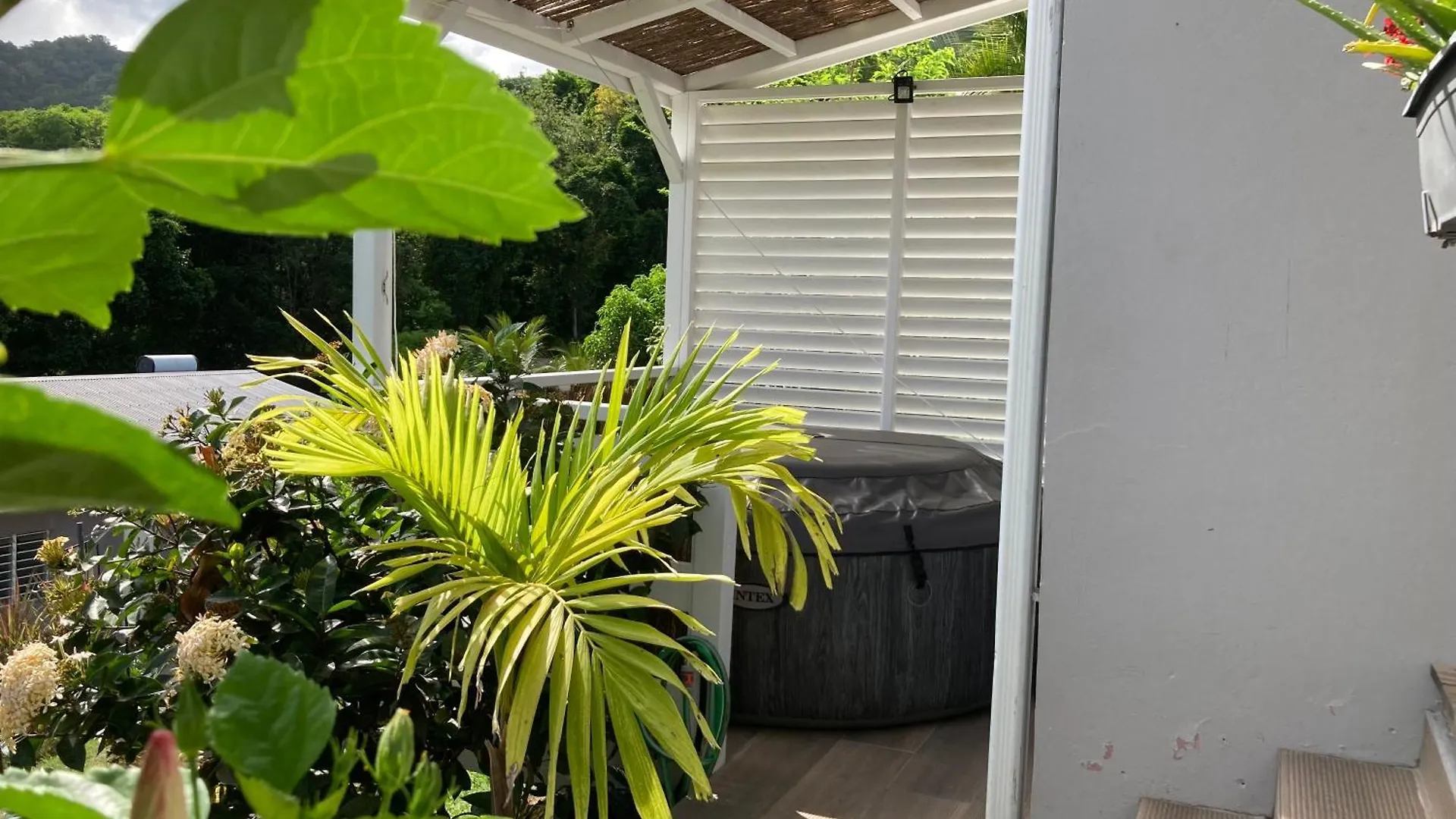 Studio Nature A La Montagne location